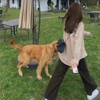 突如其蓝