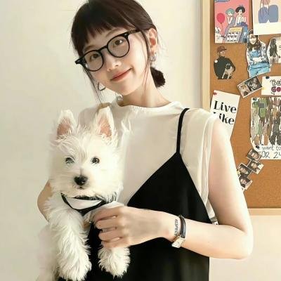 贤婿